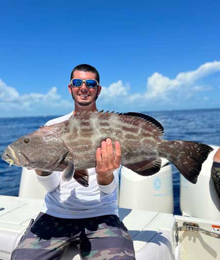 Black Grouper Islamorada Wrecks