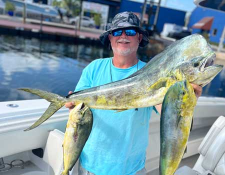 Bull Mahi off Tavernier Florida