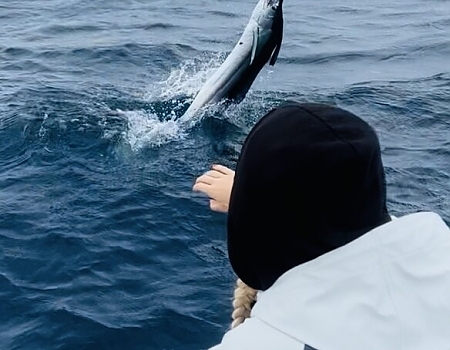  Full Day Charter Kite Fishing