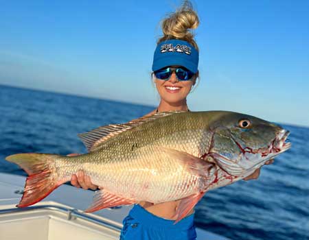 Big mutton snapper looking for bottom fish