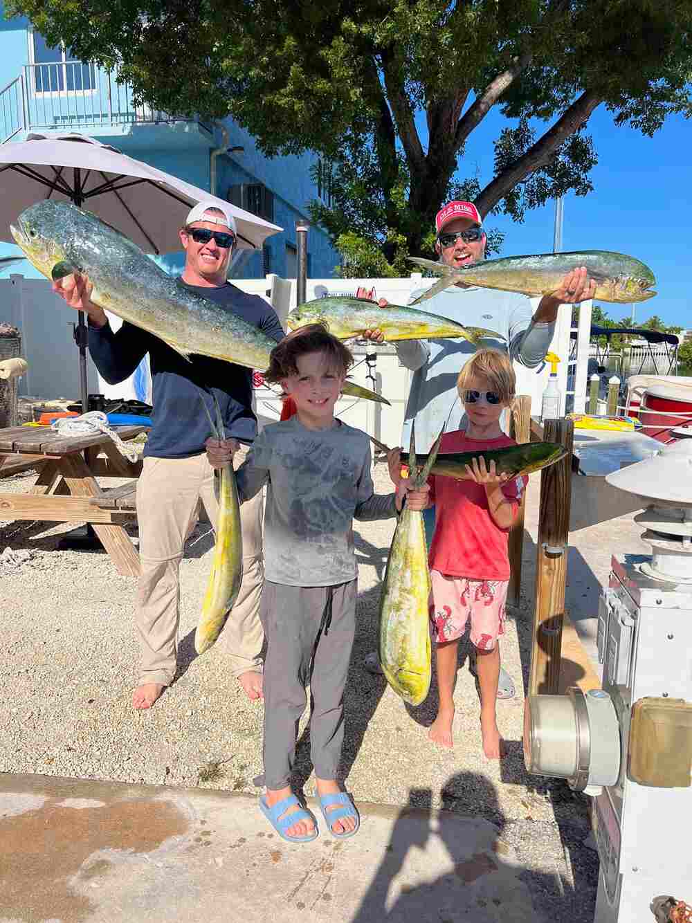 Bull mahi brings in school while swordfishing